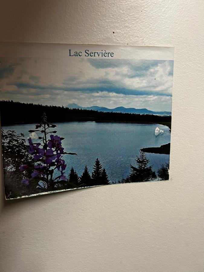 Super-Besse Residence Le Lac Bleu Serviere Chez Lorenzo Et Severine Exteriér fotografie